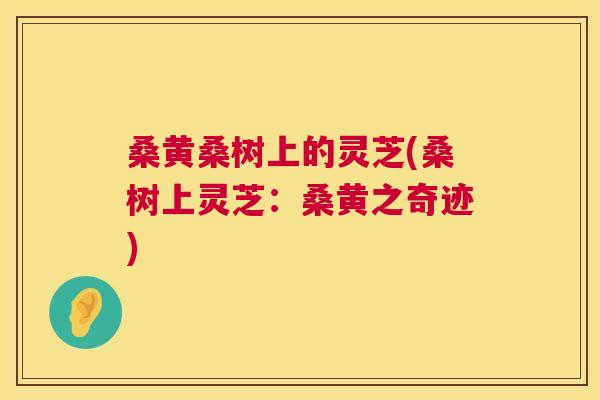 桑黄桑树上的灵芝(桑树上灵芝:桑黄之奇迹) 桑黄桑树上的灵芝(桑树上灵芝:桑黄之奇迹)
