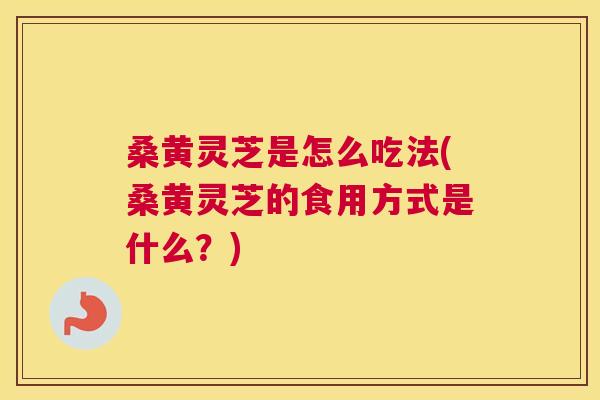 桑黄灵芝是怎么吃法(桑黄灵芝的食用方式是什么?) 桑黄灵芝是怎么吃法(桑黄灵芝的食用方式是什么?)