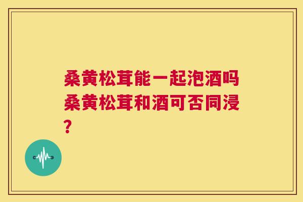 桑黄松茸能一起泡酒吗桑黄松茸和酒可否同浸? 桑黄松茸能一起泡酒吗桑黄松茸和酒可否同浸?