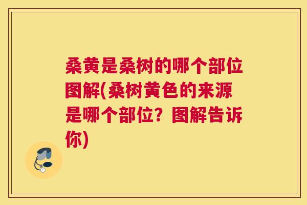 桑黄是桑树的哪个部位图解(桑树黄色的来源是哪个部位?图解告诉你) 桑黄是桑树的哪个部位图解(桑树黄色的来源是哪个部位?图解告诉你)