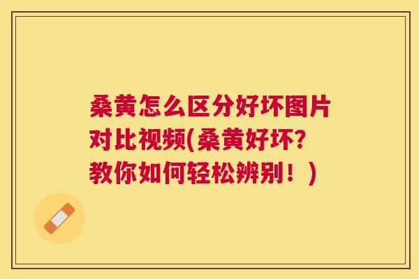 桑黄怎么区分好坏图片对比视频(桑黄好坏?教你如何轻松辨别!) 桑黄怎么区分好坏图片对比视频(桑黄好坏?教你如何轻松辨别!)