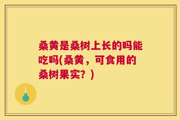 桑黄是桑树上长的吗能吃吗(桑黄,可食用的桑树果实?) 桑黄是桑树上长的吗能吃吗(桑黄,可食用的桑树果实?)