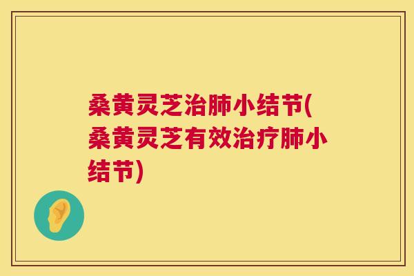 桑黄灵芝小结节(桑黄灵芝有效小结节) 桑黄灵芝小结节(桑黄灵芝有效小结节)