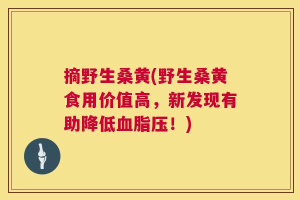 摘野生桑黄(野生桑黄食用价值高，新发现有助降低压！)
