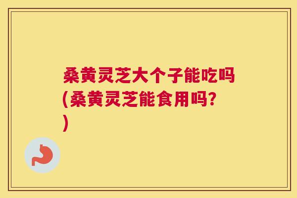 桑黄灵芝大个子能吃吗(桑黄灵芝能食用吗?) 桑黄灵芝大个子能吃吗(桑黄灵芝能食用吗?)