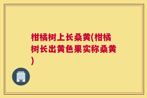 柑橘树上长桑黄(柑橘树长出黄色果实称桑黄) 柑橘树上长桑黄(柑橘树长出黄色果实称桑黄)