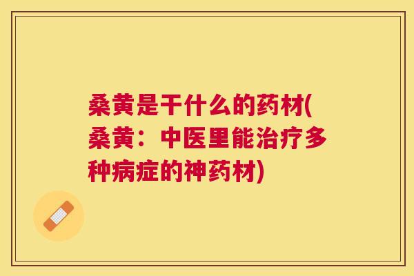 桑黄是干什么的药材(桑黄:中医里能多种症的神药材) 桑黄是干什么的药材(桑黄:中医里能多种症的神药材)