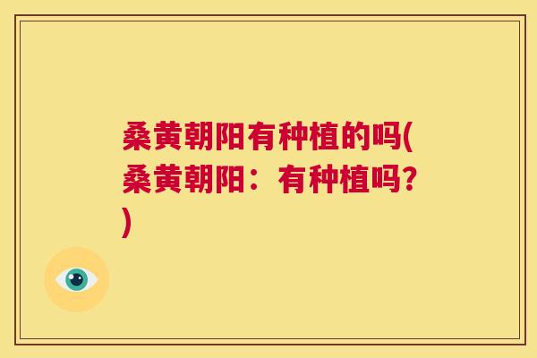 桑黄朝阳有种植的吗(桑黄朝阳:有种植吗?) 桑黄朝阳有种植的吗(桑黄朝阳:有种植吗?)