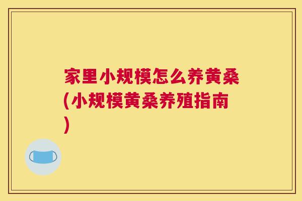 家里小规模怎么养黄桑(小规模黄桑养殖指南) 家里小规模怎么养黄桑(小规模黄桑养殖指南)