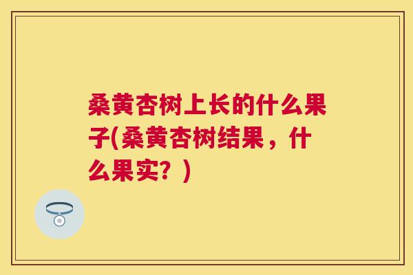 桑黄杏树上长的什么果子(桑黄杏树结果,什么果实?) 桑黄杏树上长的什么果子(桑黄杏树结果,什么果实?)