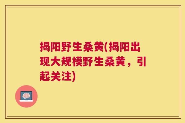 揭阳野生桑黄(揭阳出现大规模野生桑黄,引起关注) 揭阳野生桑黄(揭阳出现大规模野生桑黄,引起关注)