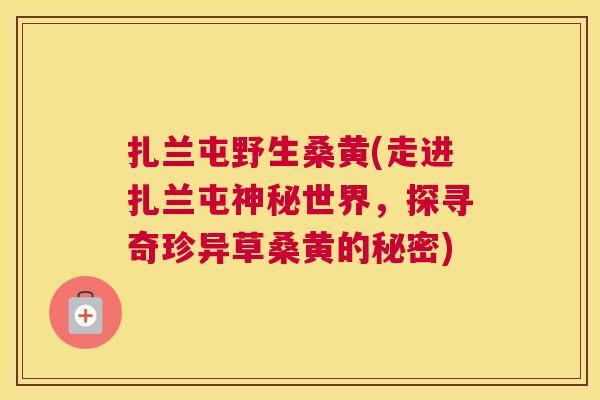 扎兰屯野生桑黄(走进扎兰屯神秘世界，探寻奇珍异草桑黄的秘密)
