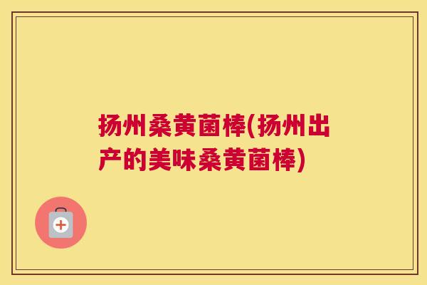 扬州桑黄菌棒(扬州出产的美味桑黄菌棒) 扬州桑黄菌棒(扬州出产的美味桑黄菌棒)