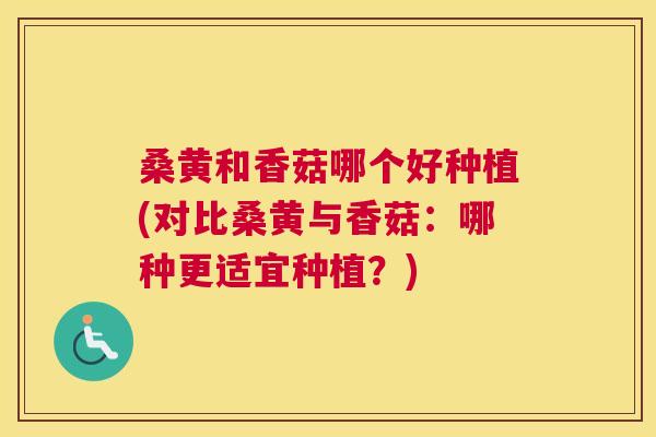 桑黄和香菇哪个好种植(对比桑黄与香菇:哪种更适宜种植?) 桑黄和香菇哪个好种植(对比桑黄与香菇:哪种更适宜种植?)
