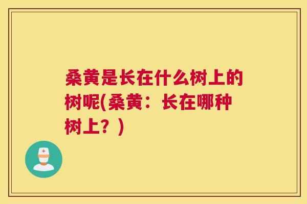 桑黄是长在什么树上的树呢(桑黄:长在哪种树上?) 桑黄是长在什么树上的树呢(桑黄:长在哪种树上?)