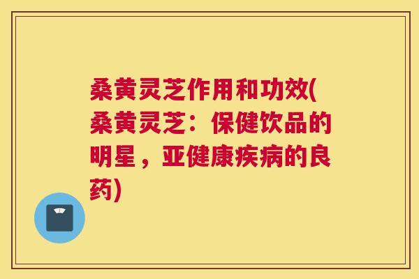 桑黄灵芝作用和功效(桑黄灵芝:保健饮品的明星,的良药) 桑黄灵芝作用和功效(桑黄灵芝:保健饮品的明星,的良药)