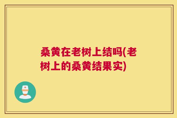 桑黄在老树上结吗(老树上的桑黄结果实) 桑黄在老树上结吗(老树上的桑黄结果实)