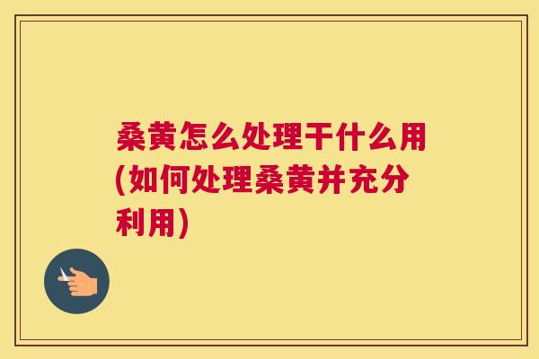 桑黄怎么处理干什么用(如何处理桑黄并充分利用) 桑黄怎么处理干什么用(如何处理桑黄并充分利用)