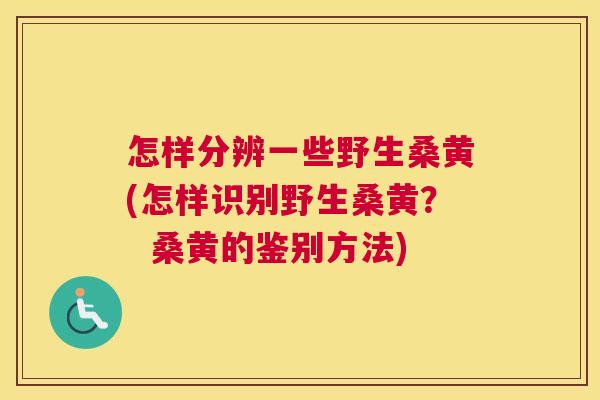 怎样分辨一些野生桑黄(怎样识别野生桑黄? 桑黄的鉴别方法) 怎样分辨一些野生桑黄(怎样识别野生桑黄? 桑黄的鉴别方法)
