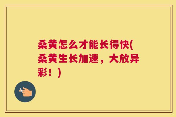 桑黄怎么才能长得快(桑黄生长加速,大放异彩!) 桑黄怎么才能长得快(桑黄生长加速,大放异彩!)