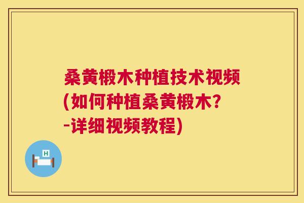 桑黄椴木种植技术视频(如何种植桑黄椴木?-详细视频教程) 桑黄椴木种植技术视频(如何种植桑黄椴木?-详细视频教程)