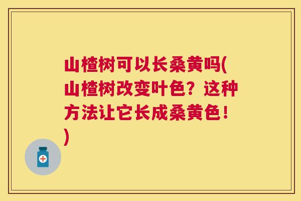 山楂树可以长桑黄吗(山楂树改变叶色?这种方法让它长成桑黄色!) 山楂树可以长桑黄吗(山楂树改变叶色?这种方法让它长成桑黄色!)