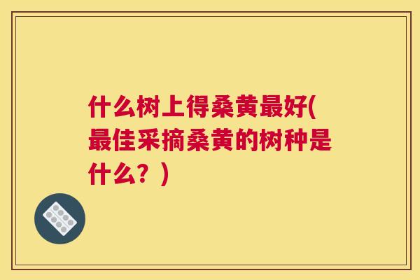 什么树上得桑黄好(佳采摘桑黄的树种是什么?) 什么树上得桑黄好(佳采摘桑黄的树种是什么?)