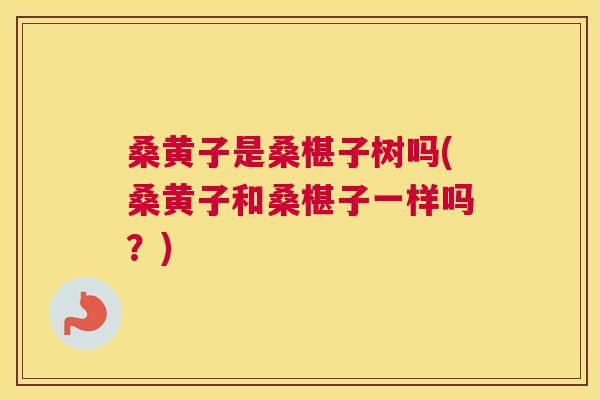 桑黄子是桑椹子树吗(桑黄子和桑椹子一样吗?) 桑黄子是桑椹子树吗(桑黄子和桑椹子一样吗?)