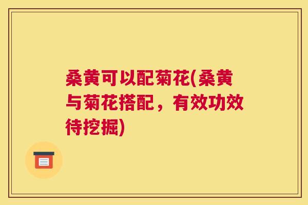 桑黄可以配菊花(桑黄与菊花搭配,有效功效待挖掘) 桑黄可以配菊花(桑黄与菊花搭配,有效功效待挖掘)