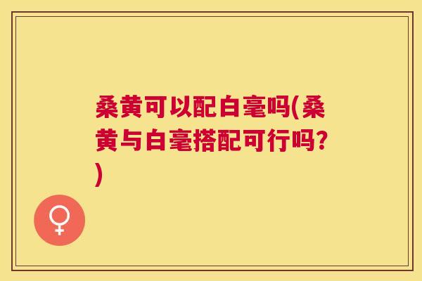 桑黄可以配白毫吗(桑黄与白毫搭配可行吗？)
