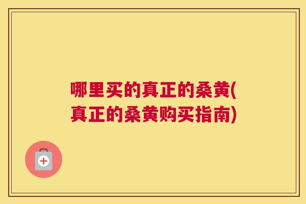 哪里买的真正的桑黄(真正的桑黄购买指南) 哪里买的真正的桑黄(真正的桑黄购买指南)