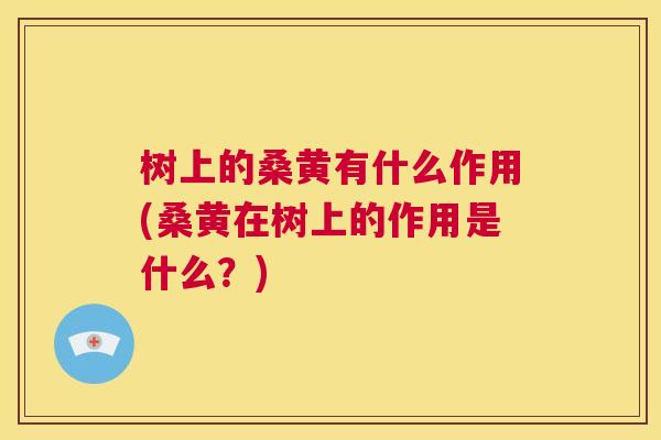 树上的桑黄有什么作用(桑黄在树上的作用是什么?) 树上的桑黄有什么作用(桑黄在树上的作用是什么?)