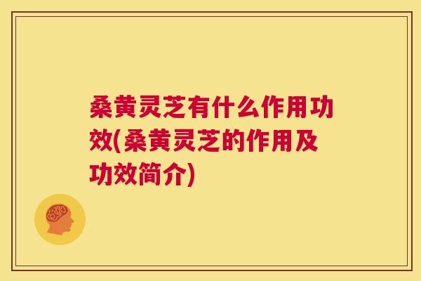 桑黄灵芝有什么作用功效(桑黄灵芝的作用及功效简介) 桑黄灵芝有什么作用功效(桑黄灵芝的作用及功效简介)