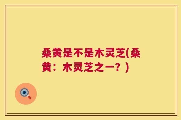 桑黄是不是木灵芝(桑黄:木灵芝之一?) 桑黄是不是木灵芝(桑黄:木灵芝之一?)