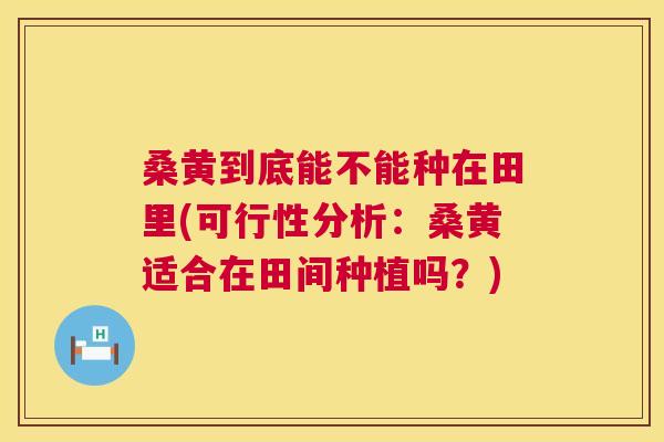桑黄到底能不能种在田里(可行性分析:桑黄适合在田间种植吗?) 桑黄到底能不能种在田里(可行性分析:桑黄适合在田间种植吗?)