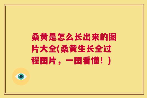 桑黄是怎么长出来的图片大全(桑黄生长全过程图片,一图看懂!) 桑黄是怎么长出来的图片大全(桑黄生长全过程图片,一图看懂!)