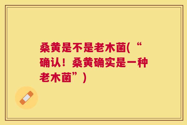 桑黄是不是老木菌(“确认!桑黄确实是一种老木菌”) 桑黄是不是老木菌(“确认!桑黄确实是一种老木菌”)