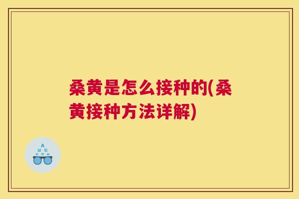 桑黄是怎么接种的(桑黄接种方法详解) 桑黄是怎么接种的(桑黄接种方法详解)
