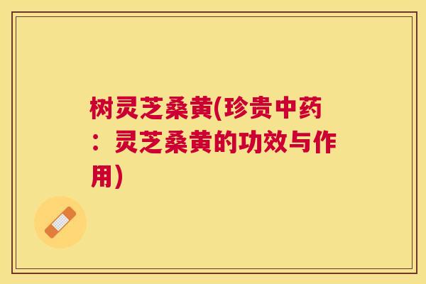 树灵芝桑黄(珍贵:灵芝桑黄的功效与作用) 树灵芝桑黄(珍贵:灵芝桑黄的功效与作用)