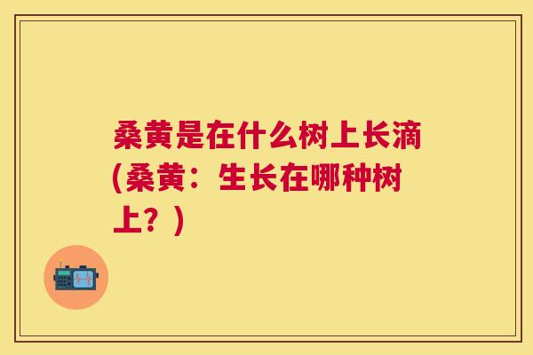 桑黄是在什么树上长滴(桑黄:生长在哪种树上?) 桑黄是在什么树上长滴(桑黄:生长在哪种树上?)