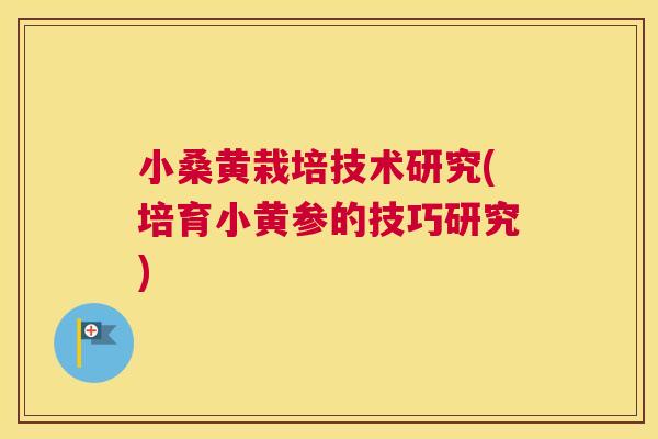 小桑黄栽培技术研究(培育小黄参的技巧研究) 小桑黄栽培技术研究(培育小黄参的技巧研究)