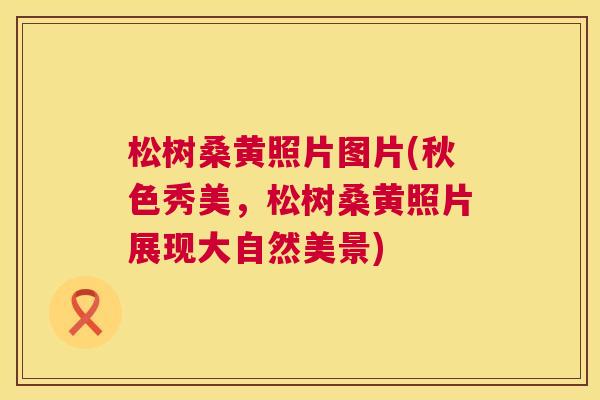 松树桑黄照片图片(秋色秀美,松树桑黄照片展现大自然美景) 松树桑黄照片图片(秋色秀美,松树桑黄照片展现大自然美景)