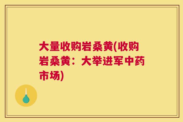 大量收购岩桑黄(收购岩桑黄:大举进军市场) 大量收购岩桑黄(收购岩桑黄:大举进军市场)
