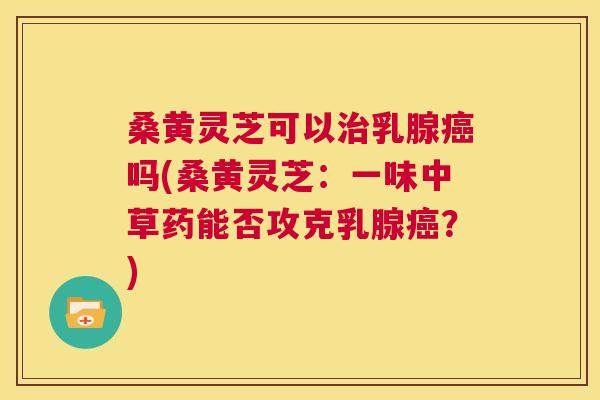 桑黄灵芝可以乳腺吗(桑黄灵芝:一味中草药能否攻克乳腺?) 桑黄灵芝可以乳腺吗(桑黄灵芝:一味中草药能否攻克乳腺?)