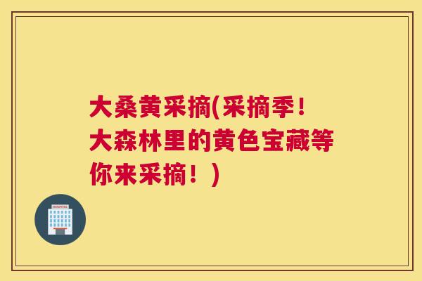 大桑黄采摘(采摘季!大森林里的黄色宝藏等你来采摘!) 大桑黄采摘(采摘季!大森林里的黄色宝藏等你来采摘!)