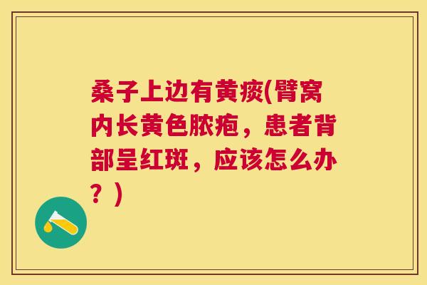 桑子上边有黄痰(臂窝内长黄色脓疱,患者背部呈红斑,应该怎么办?) 桑子上边有黄痰(臂窝内长黄色脓疱,患者背部呈红斑,应该怎么办?)