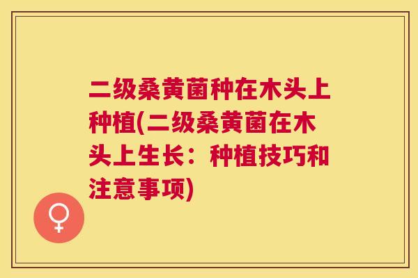 二级桑黄菌种在木头上种植(二级桑黄菌在木头上生长:种植技巧和注意事项) 二级桑黄菌种在木头上种植(二级桑黄菌在木头上生长:种植技巧和注意事项)