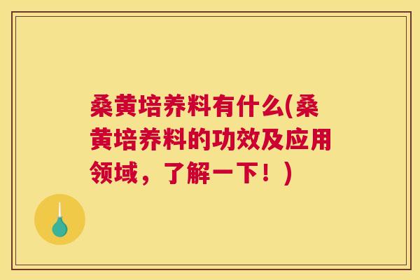 桑黄培养料有什么(桑黄培养料的功效及应用领域,了解一下!) 桑黄培养料有什么(桑黄培养料的功效及应用领域,了解一下!)