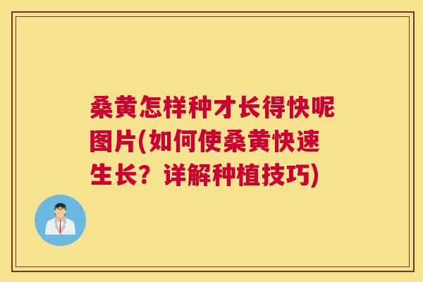 桑黄怎样种才长得快呢图片(如何使桑黄快速生长?详解种植技巧) 桑黄怎样种才长得快呢图片(如何使桑黄快速生长?详解种植技巧)