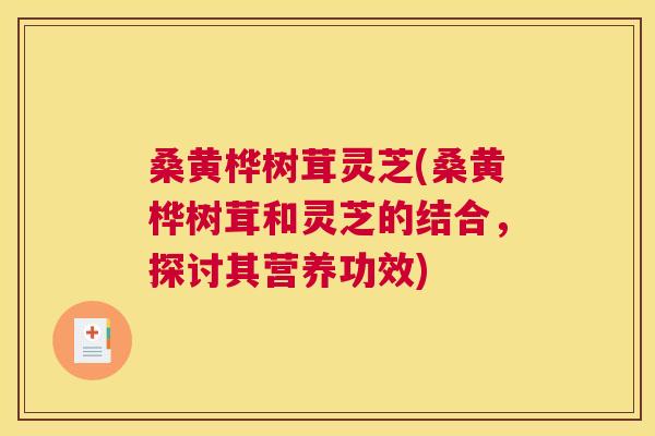 桑黄桦树茸灵芝(桑黄桦树茸和灵芝的结合,探讨其营养功效) 桑黄桦树茸灵芝(桑黄桦树茸和灵芝的结合,探讨其营养功效)